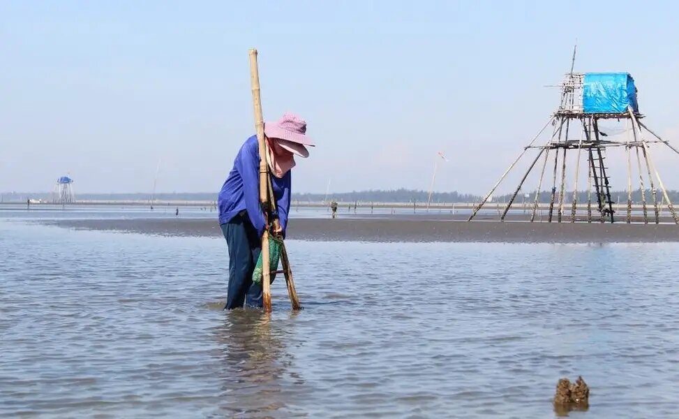 Con Vanh Beach Thai Binh, Hung Yen Province